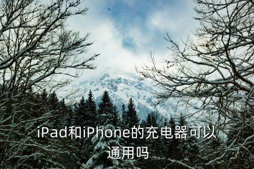 iPad和iPhone的充電器可以 通用嗎
