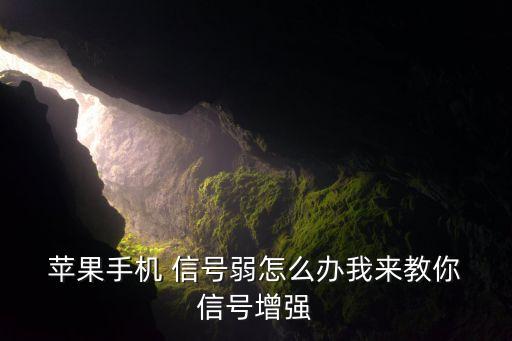 蘋果怎么設(shè)置數(shù)據(jù)信號,蘋果11怎么設(shè)置信號好