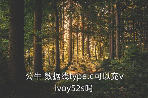  公牛 數(shù)據(jù)線type.c可以充vivoy52s嗎