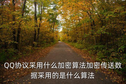 QQ協(xié)議采用什么加密算法加密傳送數(shù)據(jù)采用的是什么算法