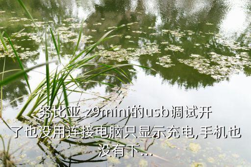 努比亞 z9mini的usb調(diào)試開(kāi)了也沒(méi)用連接電腦只顯示充電,手機(jī)也沒(méi)有下...