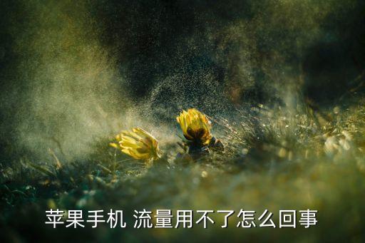 蘋果手機 流量用不了怎么回事