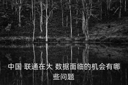 中國(guó) 聯(lián)通在大 數(shù)據(jù)面臨的機(jī)會(huì)有哪些問題