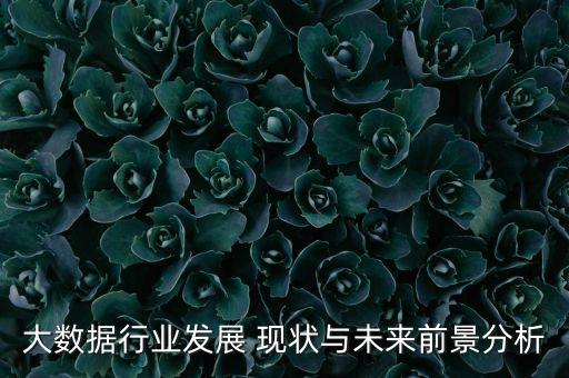 大數據行業(yè)發(fā)展 現狀與未來前景分析