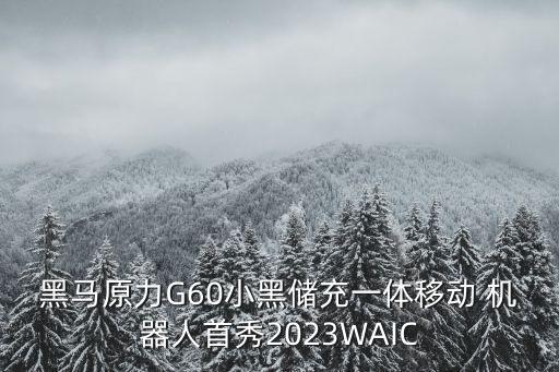 黑馬原力G60小黑儲充一體移動 機器人首秀2023WAIC
