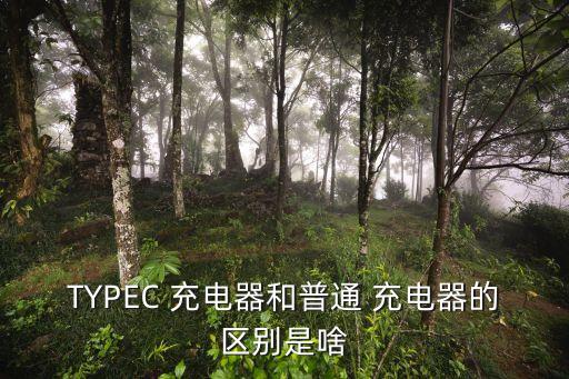 TYPEC 充電器和普通 充電器的區(qū)別是啥