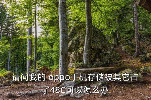 請(qǐng)問我的 oppo手機(jī)存儲(chǔ)被其它占了48G可以怎么辦