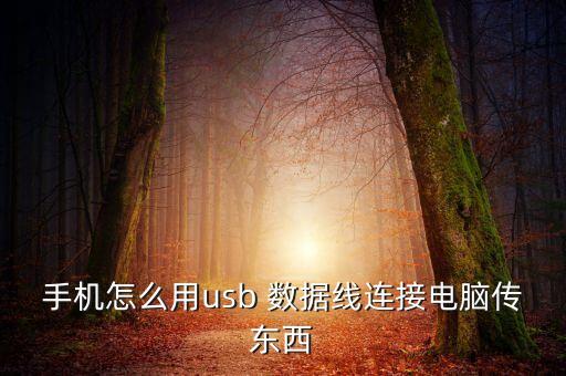 手機(jī)怎么用usb 數(shù)據(jù)線連接電腦傳東西