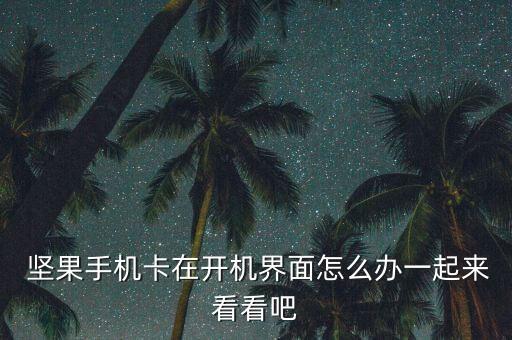  堅(jiān)果手機(jī)卡在開(kāi)機(jī)界面怎么辦一起來(lái)看看吧
