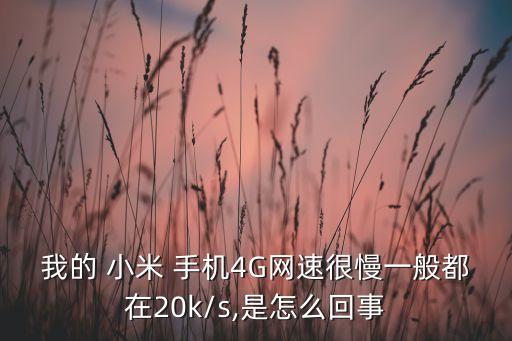 小米手機(jī)數(shù)據(jù)慢