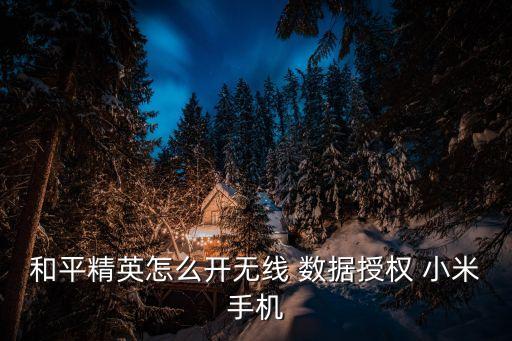 小米如何設置數(shù)據(jù)權限,小米手機運動數(shù)據(jù)權限在哪里打開