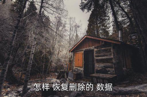 怎樣 恢復(fù)刪除的 數(shù)據(jù)