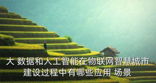 大 數(shù)據(jù)和人工智能在物聯(lián)網(wǎng)智慧城市建設(shè)過(guò)程中有哪些應(yīng)用 場(chǎng)景