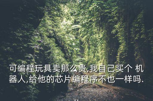 可編程玩具賣那么貴,我自己買個(gè) 機(jī)器人,給他的芯片編程序不也一樣嗎...