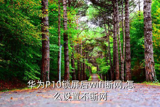  華為P10鎖屏后wifi斷網(wǎng),怎么設(shè)置不斷網(wǎng)