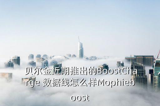 貝爾金數(shù)據(jù)線價格表