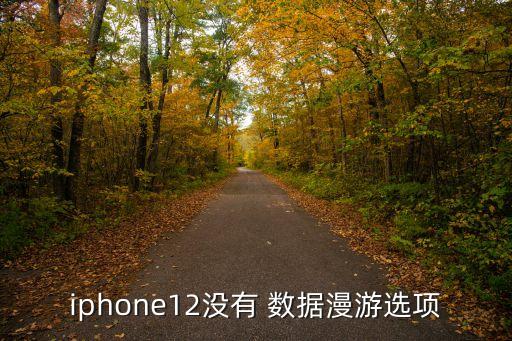 手機(jī)沒有數(shù)據(jù)漫游費(fèi),數(shù)據(jù)漫游費(fèi)流量嗎