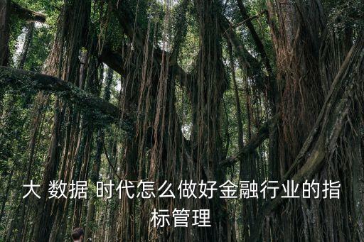 大 數(shù)據(jù) 時(shí)代怎么做好金融行業(yè)的指標(biāo)管理