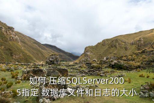 如何 壓縮SQLServer2005指定 數(shù)據(jù)庫文件和日志的大小
