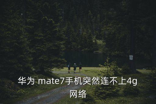 華為 mate7手機(jī)突然連不上4g網(wǎng)絡(luò)