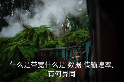 什么是帶寬什么是 數(shù)據(jù) 傳輸速率,有何異同
