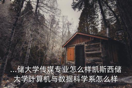 ...儲(chǔ)大學(xué)傳媒專(zhuān)業(yè)怎么樣凱斯西儲(chǔ)大學(xué)計(jì)算機(jī)與數(shù)據(jù)科學(xué)系怎么樣