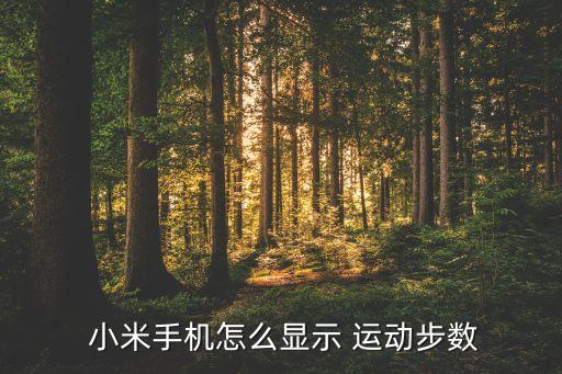 小米運(yùn)動數(shù)據(jù)哪里設(shè)置