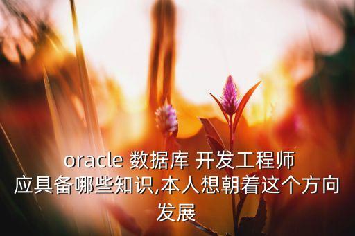  oracle 數(shù)據(jù)庫 開發(fā)工程師應(yīng)具備哪些知識,本人想朝著這個方向發(fā)展