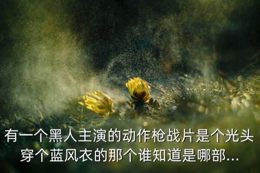 大明星機(jī)器人圖片,中國(guó)大明星圖片