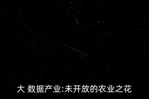 中國大數(shù)據(jù)學(xué)者,學(xué)者明星化數(shù)據(jù)