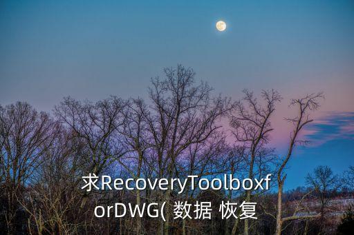 求RecoveryToolboxforDWG( 數(shù)據(jù) 恢復