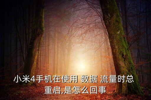 小米4手機(jī)在使用 數(shù)據(jù) 流量時總 重啟,是怎么回事
