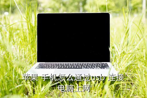  蘋果 手機怎么通過usb 連接 電腦上網(wǎng)
