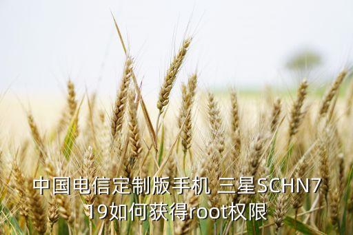 中國電信定制版手機 三星SCHN719如何獲得root權限