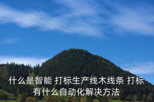 支付寶機器人打標培訓