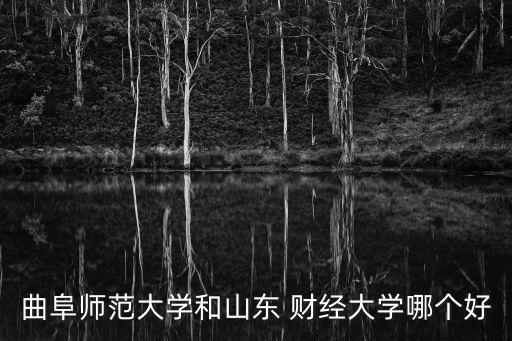 曲阜師范大學(xué)和山東 財(cái)經(jīng)大學(xué)哪個(gè)好
