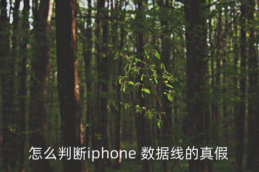 怎么判斷iphone 數(shù)據(jù)線的真假