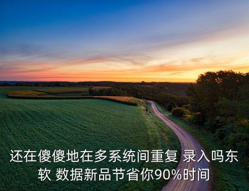 還在傻傻地在多系統(tǒng)間重復(fù) 錄入嗎東軟 數(shù)據(jù)新品節(jié)省你90%時(shí)間