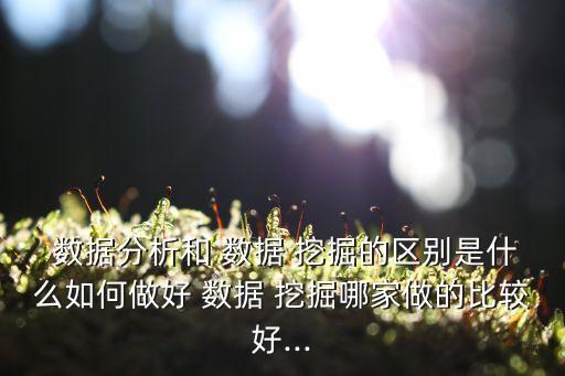 數(shù)據(jù)庫與數(shù)據(jù)挖掘區(qū)別,數(shù)據(jù)挖掘和數(shù)據(jù)庫有關(guān)系嗎