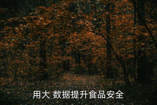 用大 數(shù)據(jù)提升食品安全