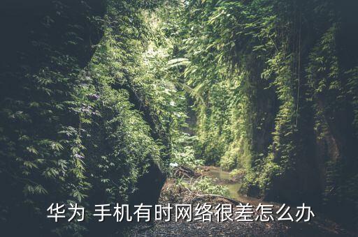  華為 手機(jī)有時(shí)網(wǎng)絡(luò)很差怎么辦