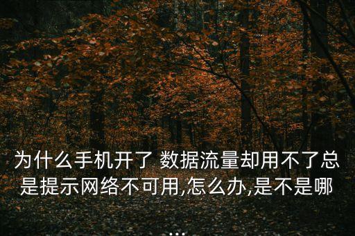 為什么手機開了 數(shù)據(jù)流量卻用不了總是提示網(wǎng)絡不可用,怎么辦,是不是哪...