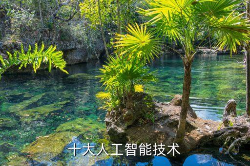 機(jī)器人芯片企業(yè)排名,倉(cāng)儲(chǔ)物流機(jī)器人企業(yè)排名