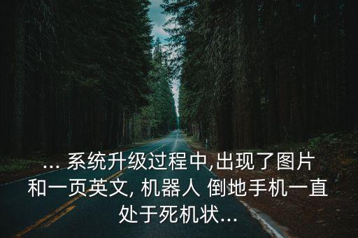 vivo系統(tǒng)升級安裝出現(xiàn)機(jī)器人倒地