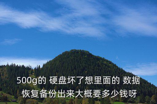 500g的 硬盤壞了想里面的 數(shù)據(jù) 恢復(fù)備份出來大概要多少錢呀
