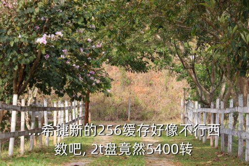 ...希捷新的256緩存好像不行西數(shù)吧, 2t盤竟然5400轉(zhuǎn)