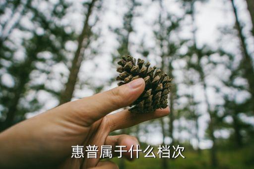  惠普屬于什么檔次
