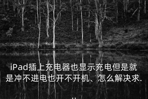 iPad插上充電器也顯示充電但是就是沖不進電也開不開機、怎么解決求...