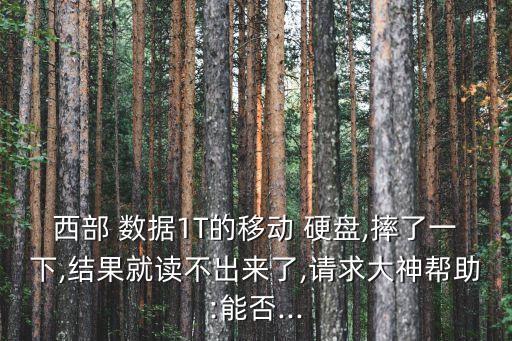 西部 數(shù)據(jù)1T的移動 硬盤,摔了一下,結果就讀不出來了,請求大神幫助:能否...