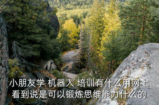 小朋友學(xué) 機(jī)器人 培訓(xùn)有什么用網(wǎng)上看到說(shuō)是可以鍛煉思維能力什么的